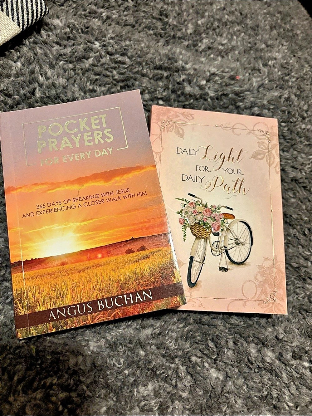 Pocket Prayers for Every Day & Daily Light for Your Daily Path-2 books